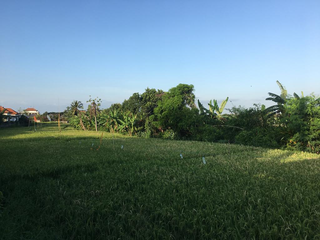 Gangga Guest House تْشانغو المظهر الخارجي الصورة